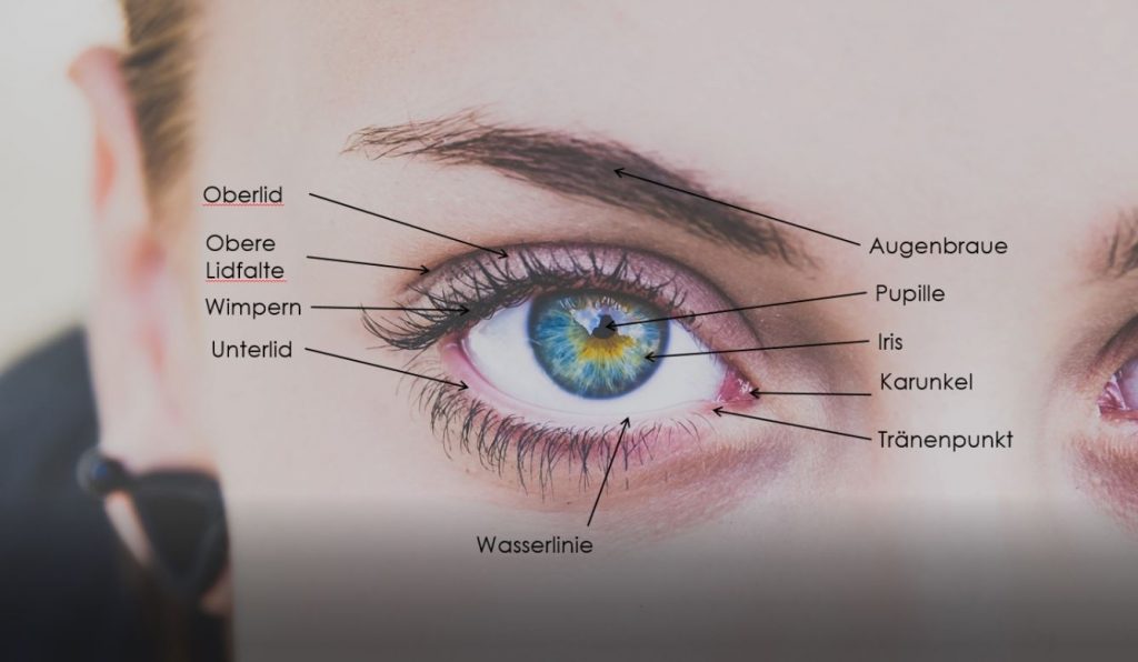 Auge Zeichnen Schritt Fur Schritt Anleitung Fur Meisterhaftes Augen Malen